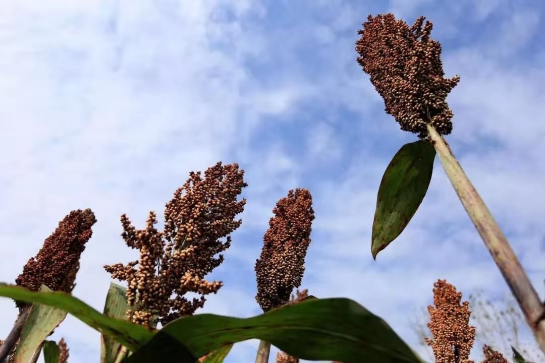 1573117193163885.jpg f1975f46a94feaabb606a74b44cda8a.jpg